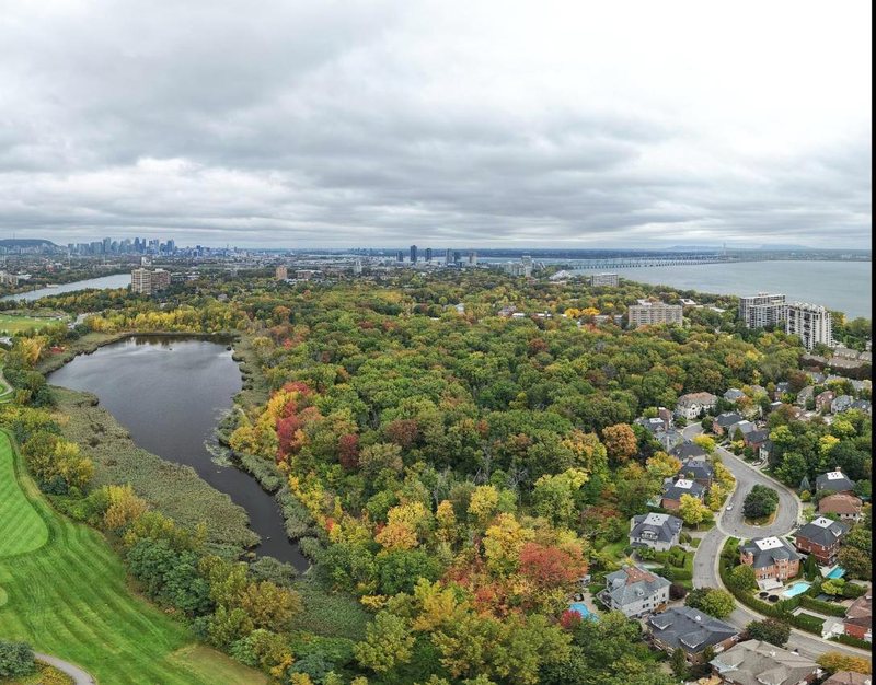 Vue aérienne du lac des Battures et du boisé en automne, avec des maisons et le pont Samuel-De Champlain au loin
