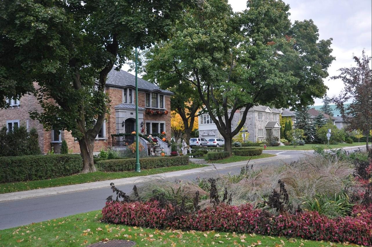 Rue résidentielle ensoleillée de Ville de Mont-Royal, bordée d'arbres et de maisons de brique