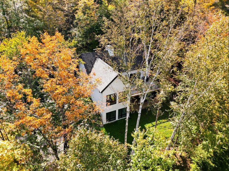 Maison blanche au toit sombre entourée de bouleaux et d'érables en automne, vue du ciel