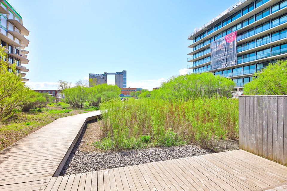 Photo — Condo, 1228, rue des Bassins, app. PH1504, Sud-Ouest
